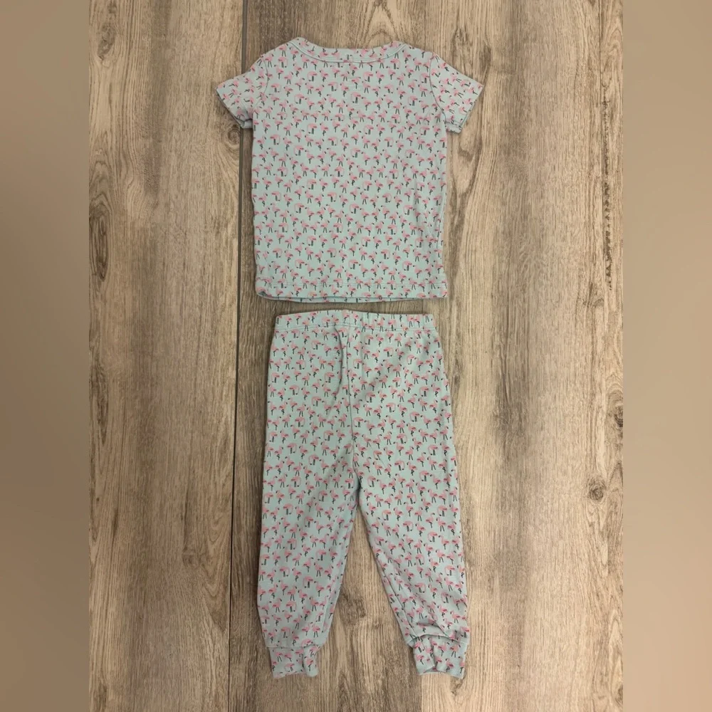 Gymboree Blue and Pink Flamingo Pajama Set Soft Sleepwear